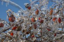 GALERIA ILONY I MICHAŁA