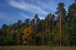 fot. Michał Zaborski
