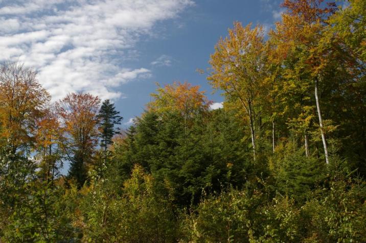 Fot. Michał Zaborski